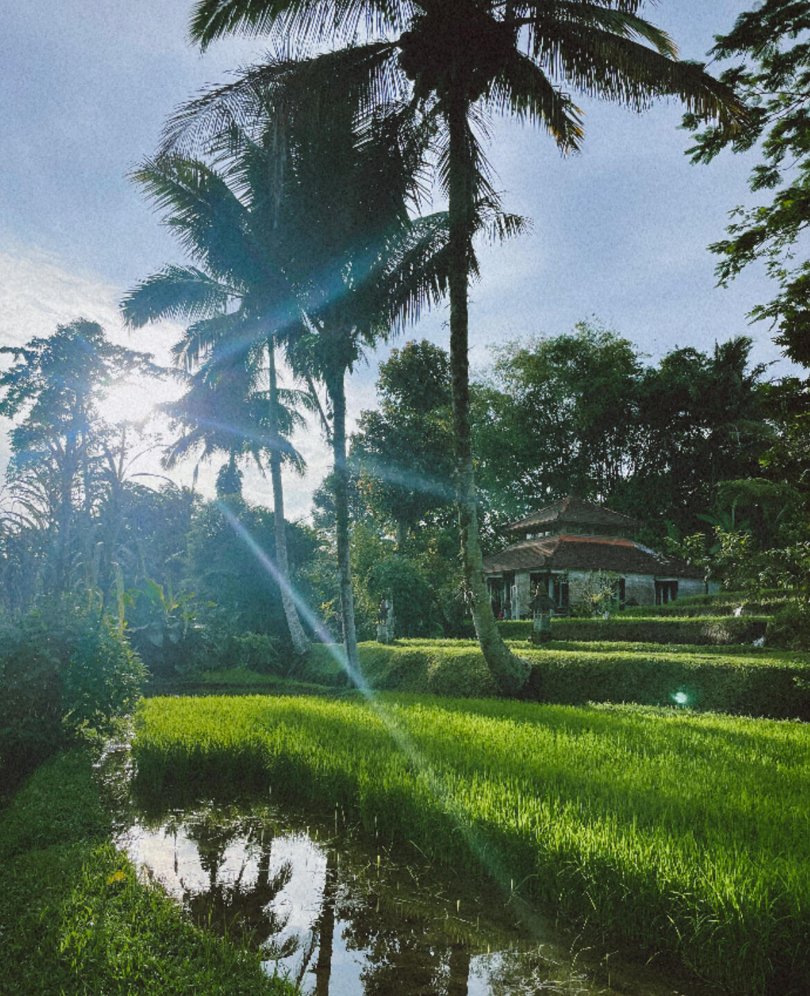 Prana Dewi. Bali Writing Retreat 2025. Between Stories.