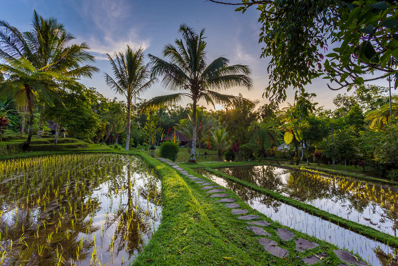 Annie Insel Krüger. Bali Writing Retreat. Open Studios Berlin
